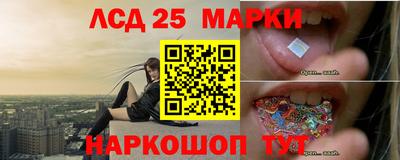 прущие грибы Кулебаки