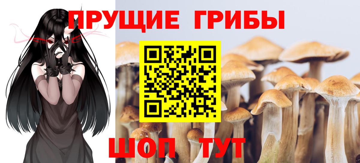 наркотики  Псилоцибиновые грибы MAGIC MUSHROOMS  Вход с VPN  Десногорск 